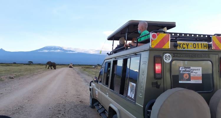 Safari vehicle on a dirt road with elephants in the distance.