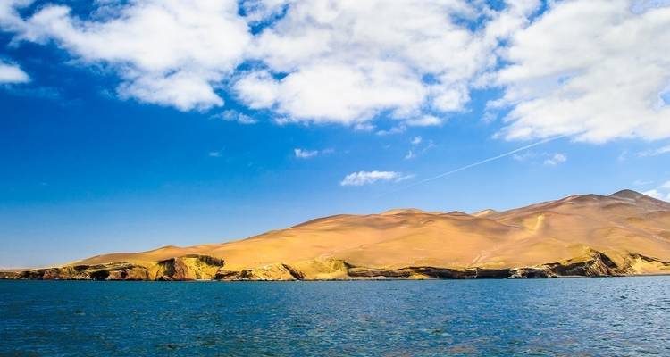 Kustwoestijnlandschap met golvende duinen en blauwe zee.