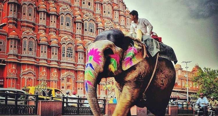 03 días del Triángulo de Oro - Explora lo mejor de Delhi, Jaipur y Agra - Tour Trips India Holidays 4