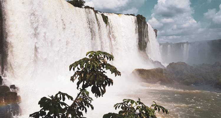 Stunning view of Iguazu Falls with lush greenery.