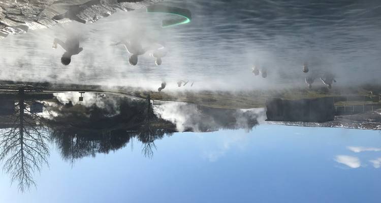 People swimming in hot springs surrounded by steam.