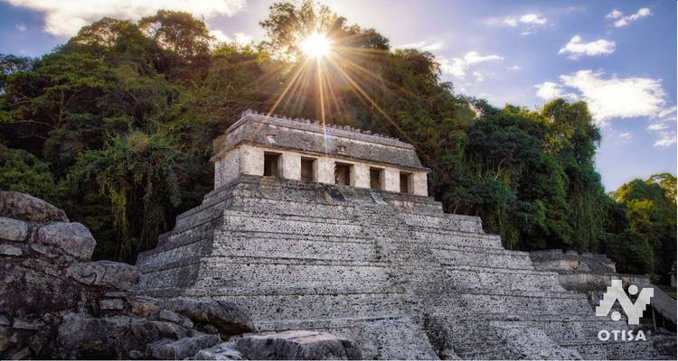 Explorez les essences naturelles et culturelles du Chiapas - Otisa 10