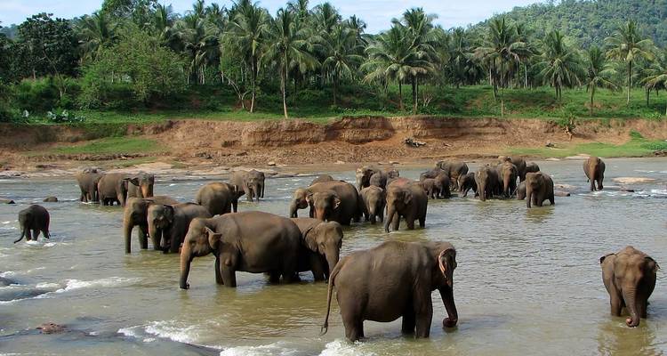 Colonial Tour Sri Lanka (Free Upgrade Private tour for two paying clients or more) - Acme Travels Sri Lanka  7