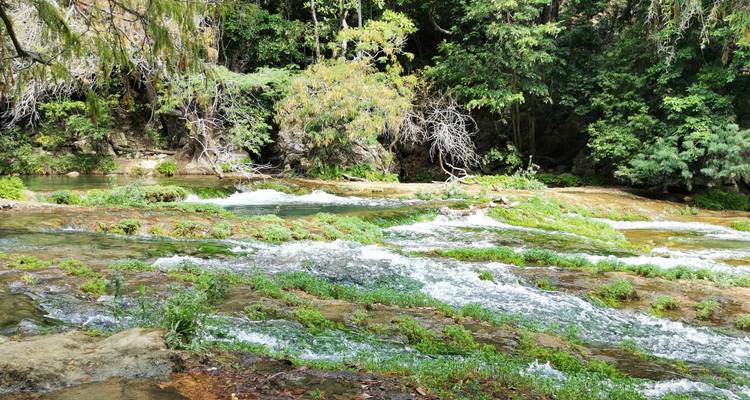 Huasteca Potosina: sumérgete en aguas místicas y tesoros intemporales - Vibe Adventures 2