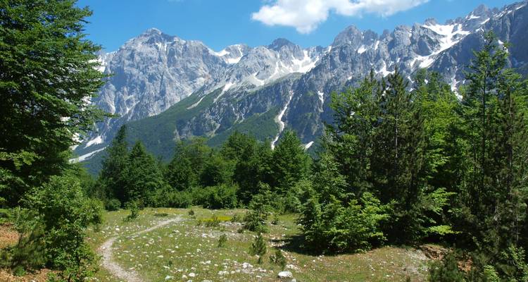 Paysage de montagne avec un ciel dégagé et de la verdure.