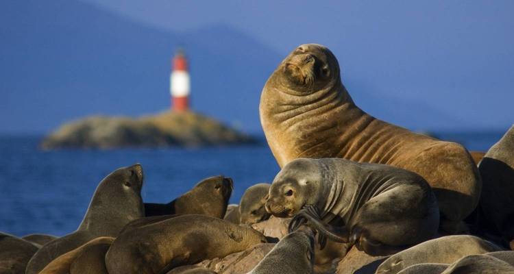 Grand Patagonia Journey: Bariloche, El Calafate & Ushuaia - People Travel and Experience 4