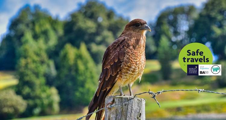 Grand Patagonia Journey: Bariloche, El Calafate & Ushuaia - People Travel and Experience 8