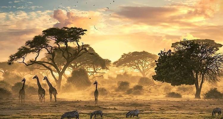 Ngorongoro day trip - Serengeti African Tours 4
