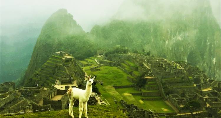 Excursion d'une journée au Machu Picchu depuis Cusco - TreXperience 1