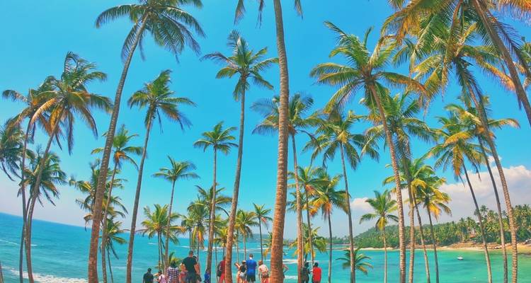 Sérénade au Sri Lanka : Odyssée de la nature, de la culture et de la faune - Tout compris - Mango Vacations 4