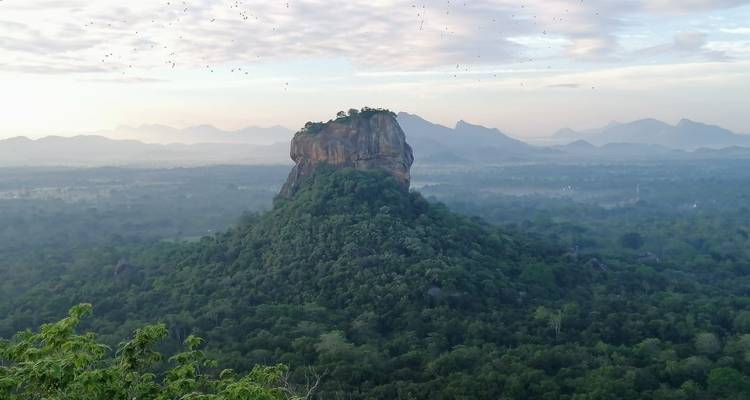 Sérénade au Sri Lanka : Odyssée de la nature, de la culture et de la faune - Tout compris - Mango Vacations 6