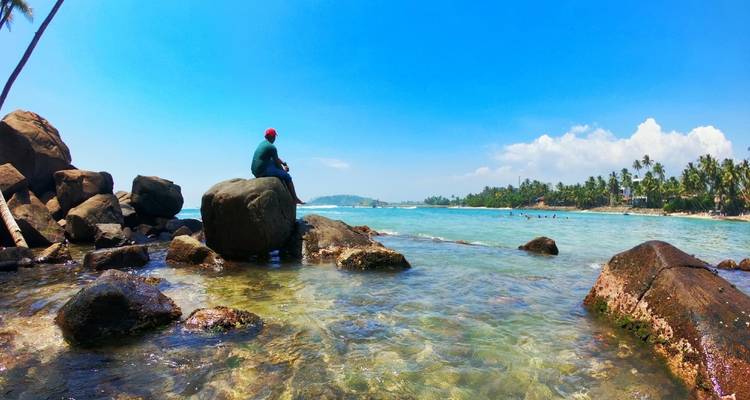Sérénade au Sri Lanka : Odyssée de la nature, de la culture et de la faune - Tout compris - Mango Vacations 7