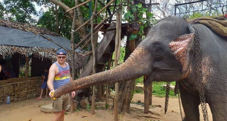 Sérénade au Sri Lanka : Odyssée de la nature, de la culture et de la faune - Tout compris - Mango Vacations 8