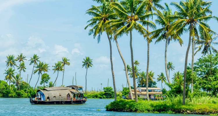 Woonboten op een schilderachtige rivier met palmbomen.