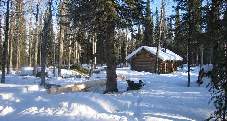 Petite cabane en bois dans un décor de forêt enneigée.