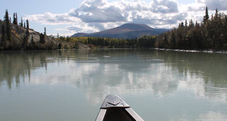 Canoë sur une rivière calme avec des arbres et des montagnes au loin.