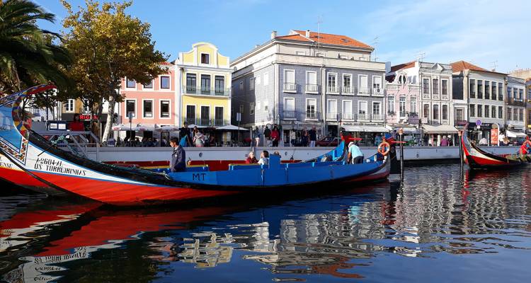 Barcos moliceiro tradicionales con pinturas vibrantes atracados en el canal de Aveiro frente a edificios de colores pastel.