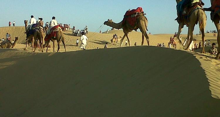 Visite des forts et des palais du Rajasthan - Panda Experiences 7