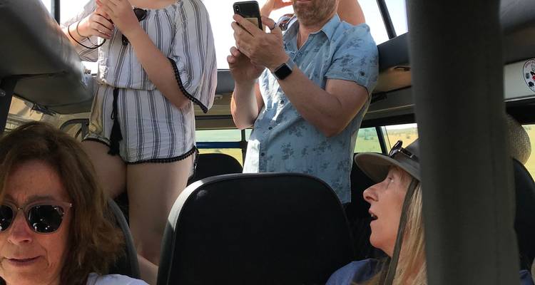 Touristen, die von einem Safari-Fahrzeug aus hinausblicken.