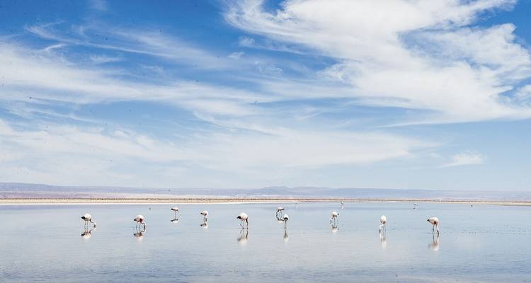 La croisée des Andes : Argentine et Chili en 22 jours - People Travel and Experience 8