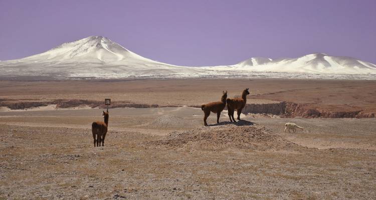La croisée des Andes : Argentine et Chili en 22 jours - People Travel and Experience 10