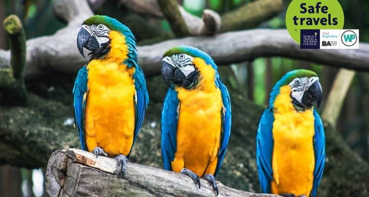 Maravillas de la Naturaleza: Río de Janeiro y Cataratas del Iguazú - People Travel and Experience 8