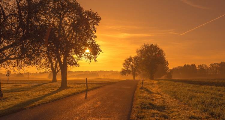 Coucher de soleil sur une route rurale avec des arbres de chaque côté.