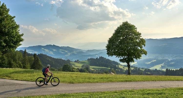 A person biking on a road with a scenic view of hills and a tree.
