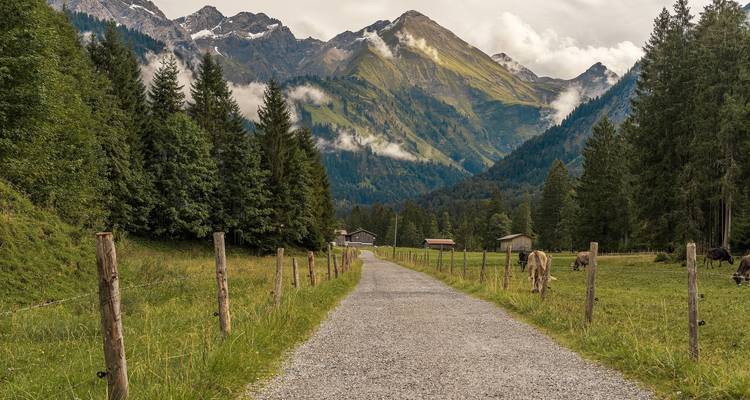 Iller Cycle Path With Luggage Transfer - Feuer und Eis Touristik 9
