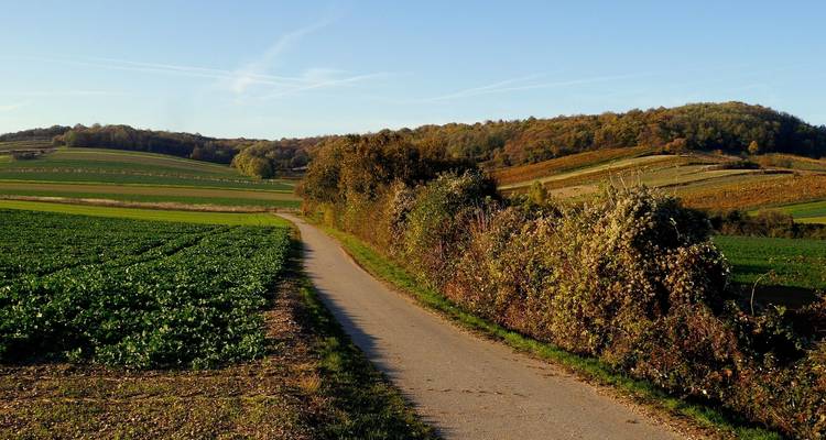 Sentier SalzAlpenSteig I avec transfert des bagages 9 jours - Feuer und Eis Touristik 6