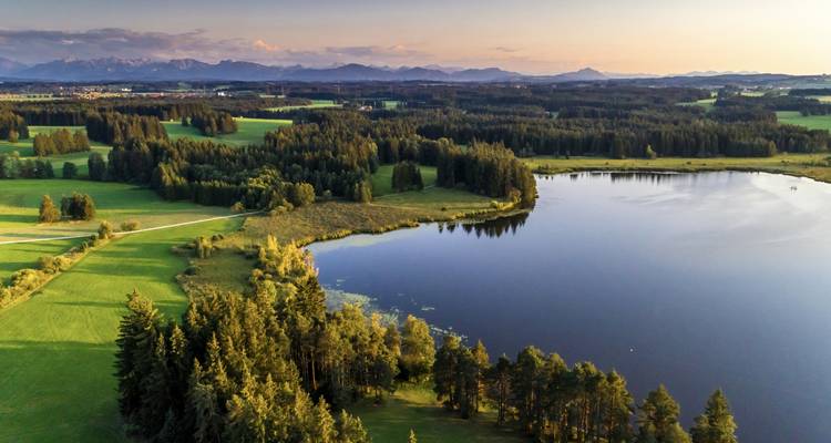Aerial view of serene lake surrounded by lush forests and green meadows with distant Alps at sunset