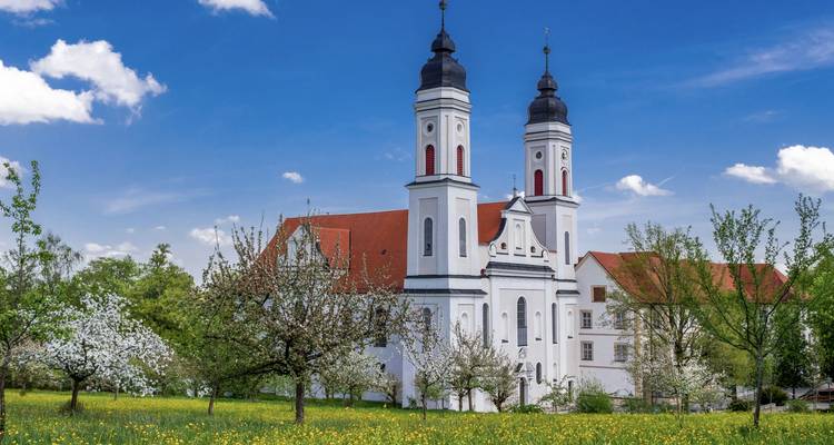 Charming white baroque church with twin towers amid blooming orchards and yellow wildflowers