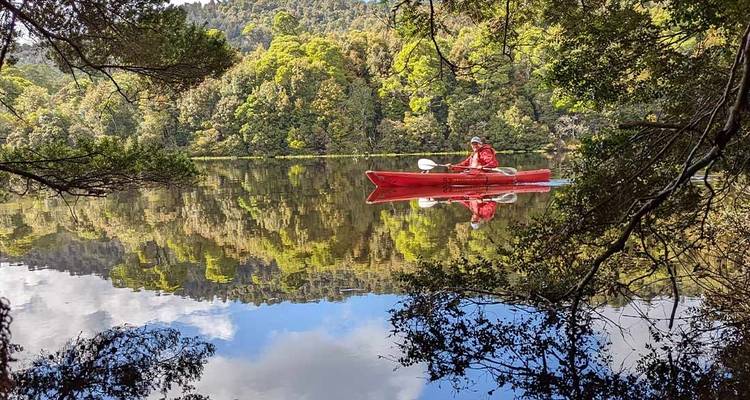 Exploration de la Tarkine et du Cradle Mountain en Tasmanie - Intrepid Travel 8