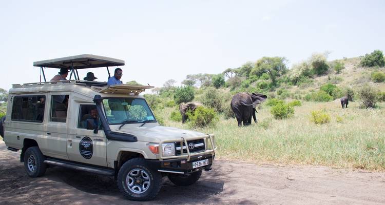 Des touristes en safari dans un véhicule observant des éléphants dans la nature.