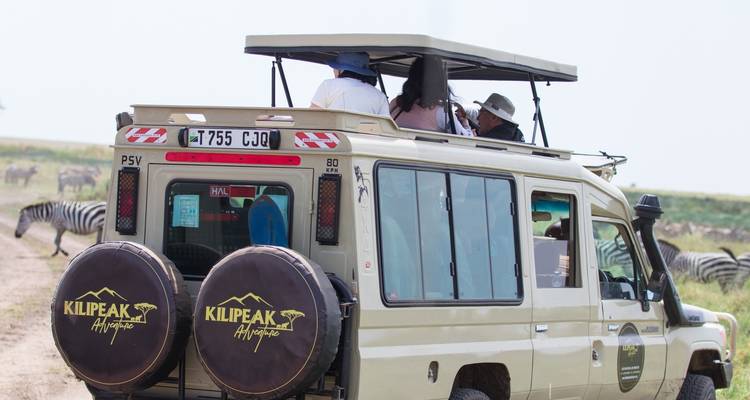Véhicule de safari avec des touristes observant les zèbres et le paysage.