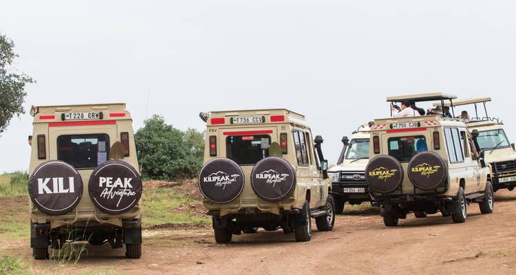 Safariwagens geparkeerd met zichtbare bedrijfsbranding.