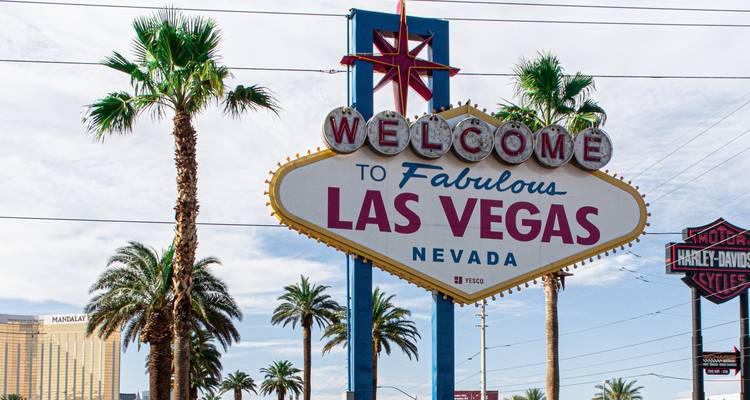 Golden West Adventure - Los Angeles Airport (ending in Las Vegas) - ATP - AlliedTPro 3