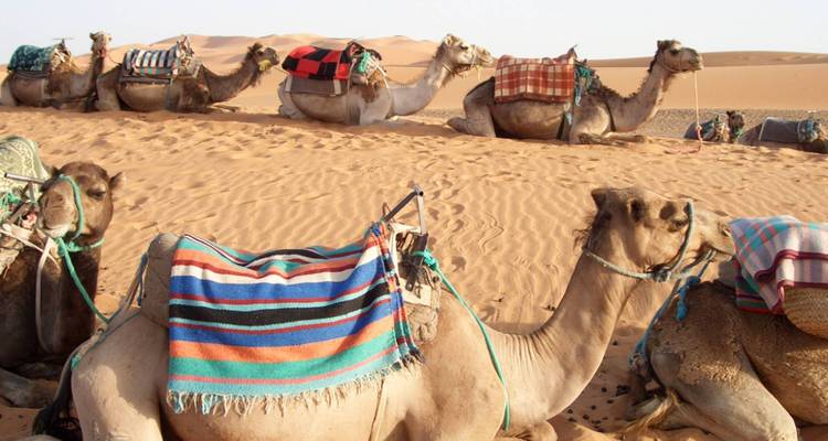 Maroc aventure et plage en famille - 12 jours - On The Go Tours 6