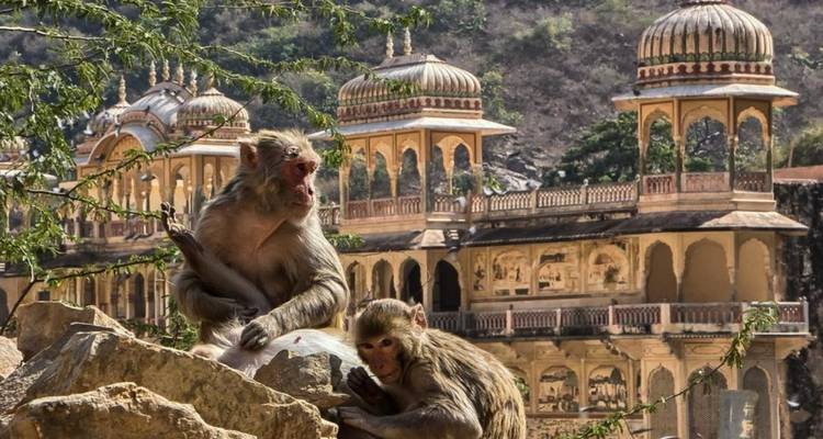 6 Day Private Women Special tour by car (Golden Triangle) - Avtar India Tours 4