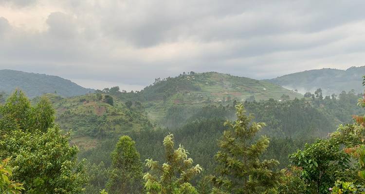 Traslado del aeropuerto de Kisoro al Parque Nacional de Bwindi - Bamboo Ecotours 1