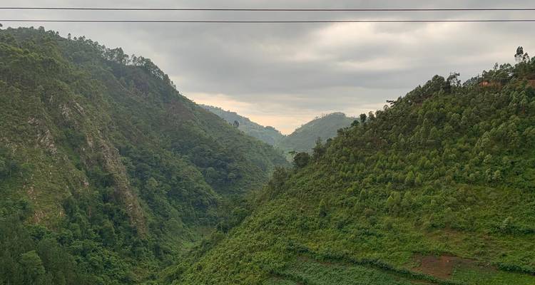 Traslado del aeropuerto de Kisoro al Parque Nacional de Bwindi - Bamboo Ecotours 3
