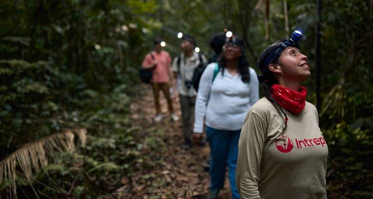 Viajeros con linternas frontales caminan por un sendero oscuro de la selva durante la noche, uno mirando hacia arriba al dosel.