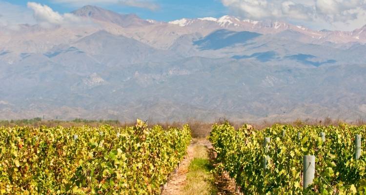 Premium Perú, Chile y Argentina (13 destinations) - Intrepid Premium 3