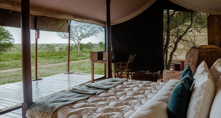 Premium Tanzanie - Intrepid Premium 10