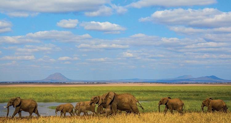 Premium Tanzanie - Intrepid Premium 2