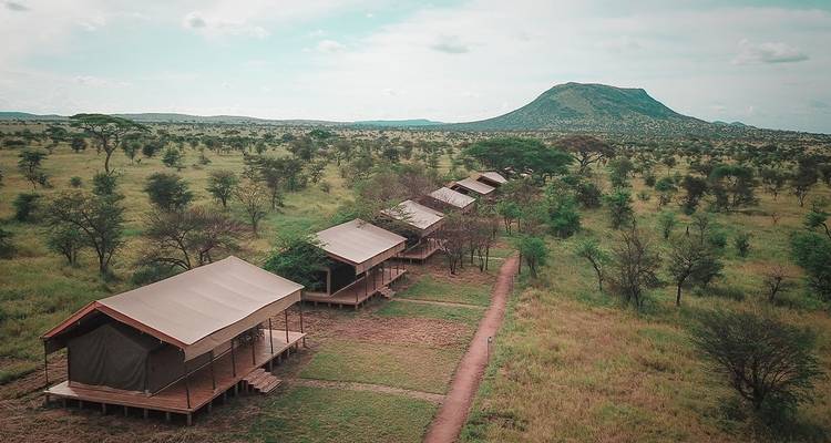 Premium Tanzanie - Intrepid Premium 7