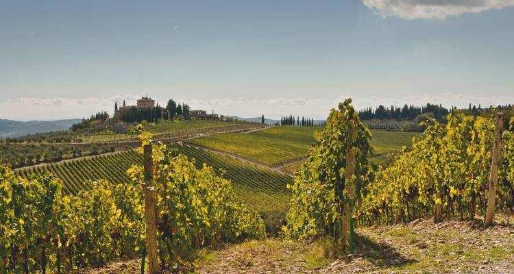 Premium Toscane - Intrepid Premium 2