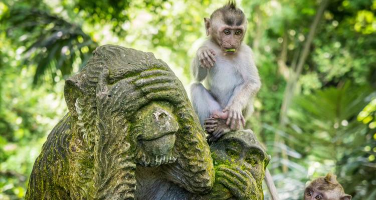 Le bonheur de Bali - TruTravels 3