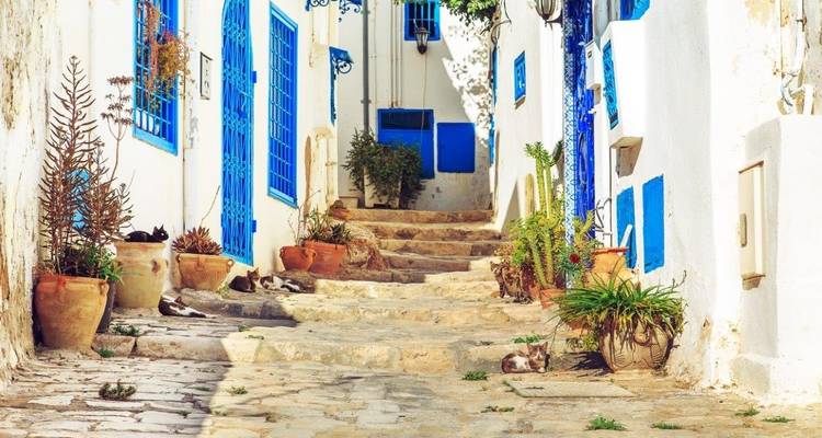 Lo mejor de Túnez y extensión de playa con todo incluido (estancia en línea), viaje en grupo reducido - Tunisie Voyages 7