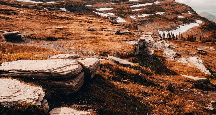 Journées ensoleillées, nuits étoilées : Les montagnes Rocheuses d'Amérique par leur conception - Globus 4